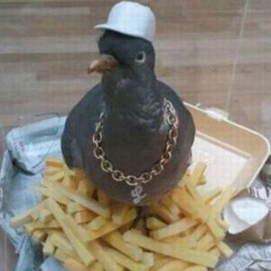 Meet your Posher, Mark